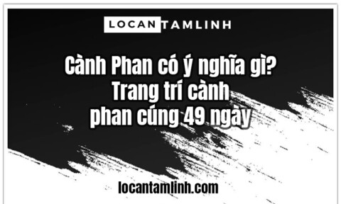 Canh Phan co y nghia gi Trang tri canh phan cung 49 ngay