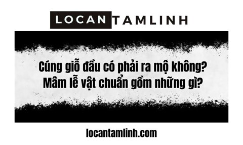 Cung gio dau co phai ra mo khong Mam le vat chuan gom nhung gi