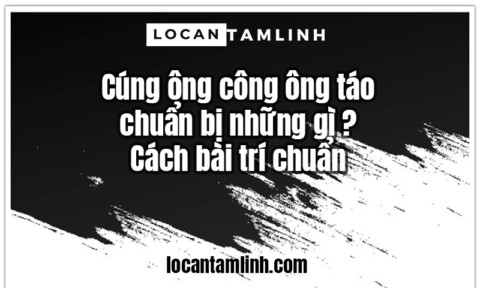 Cung ong cong ong tao chuan bi nhung gi Cach bai tri chuan