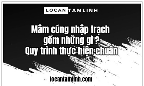 Mam cung nhap trach gom nhung gi Quy trinh thuc hien chuan