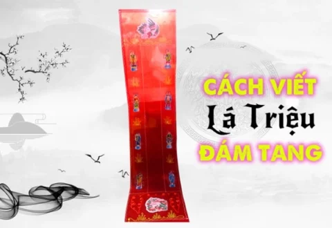Lá triệu là gì?