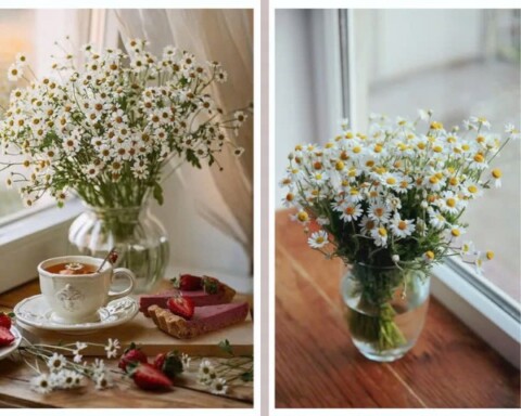 Trang trí và tạo không gian sống