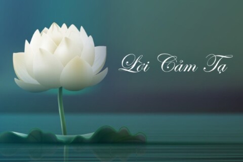 Tầm quan trọng của lời cảm tạ