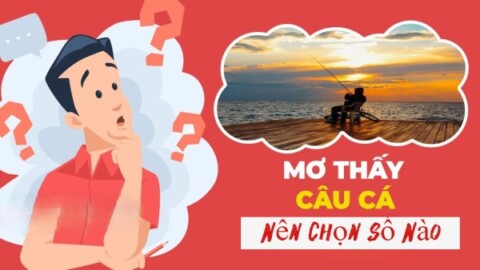 Con số may mắn nên chọn khi nằm mơ thấy câu cá