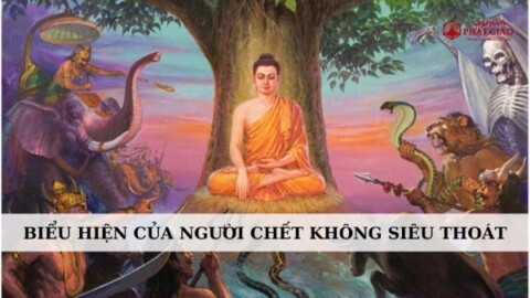 Các biểu hiện của người chết không siêu thoát