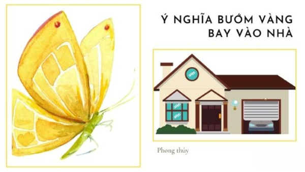 Bướm bay vào nhà được xem là mang đến những thông điệp từ thế giới bên kia
