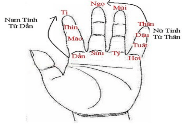 Cách bấm giờ chết cho người sắp chết