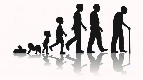 Sinh lão bệnh tử – Cuộc đời là vô thường