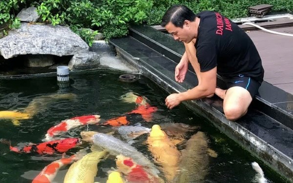 Bí quyết chăm sóc cá cảnh mạnh khỏe