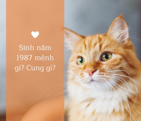 1987 Mệnh Hỏa