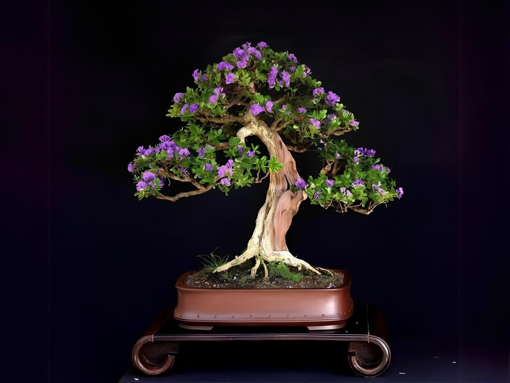 Cây hợp mệnh Hỏa 1987 - Biểu tượng của may mắn, thịnh vượng