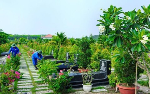 Cách trồng hoa mười giờ trên mộ chuẩn nhất