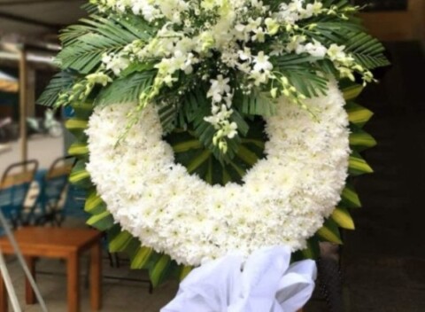 Hoa cúc trắng còn là biểu tượng của sự cảm thông, chia sẻ nỗi đau với gia quyến của người đã khuất.