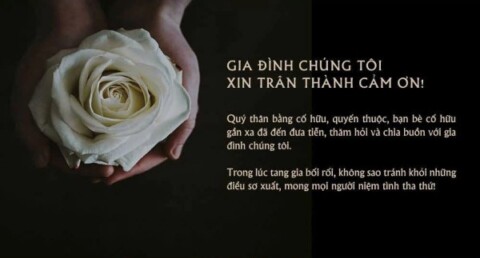 Mẫu lời cảm ơn chung chung