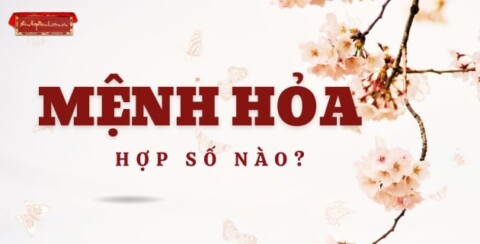 Số hợp mệnh Hỏa 1994 và ý nghĩa phong thủy